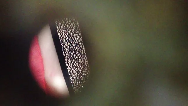 胸、臀部、膣を示す痩せた女性がたくさんいます。 女性 専用 アダルト 無料 動画